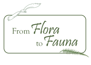 From Flora to Fauna blog logo