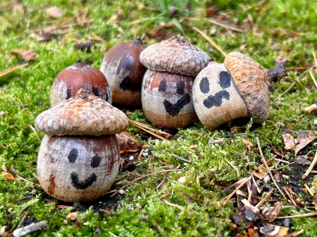 Nature Blog Five acorns with smiley faces wearing caps