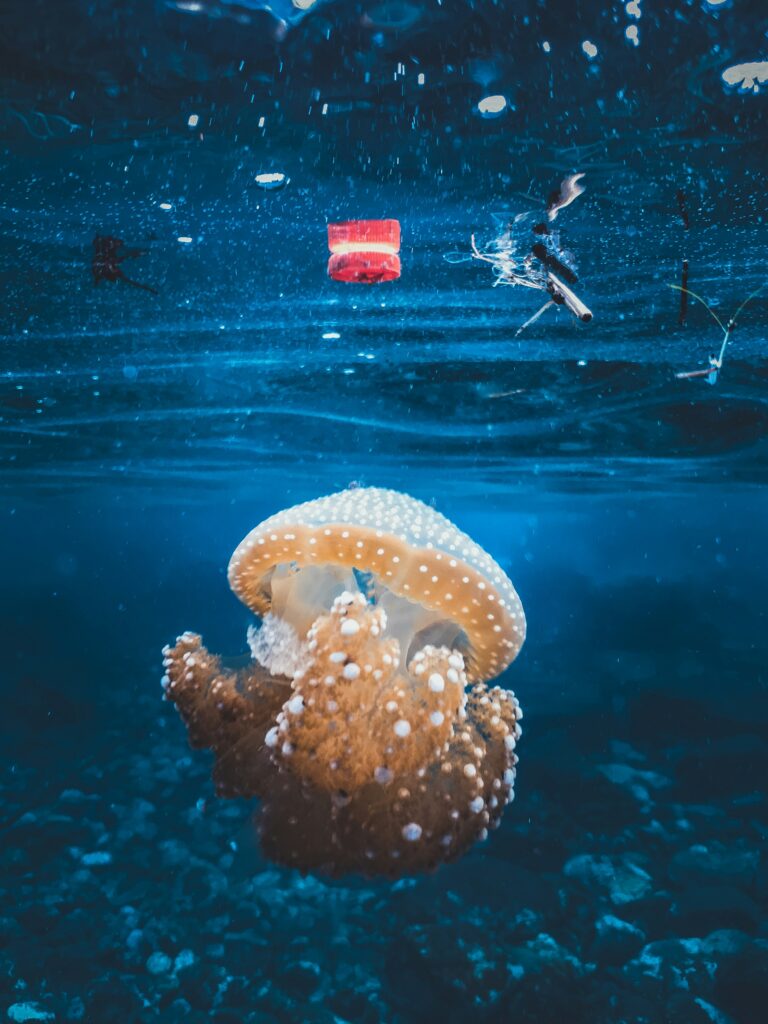 Trash in the ocean with a jellyfish below